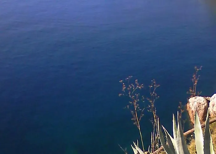 Lejlighed Happy Centre-free Parking Dubrovnik